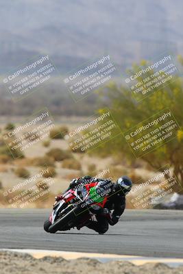 media/Apr-10-2022-SoCal Trackdays (Sun) [[f104b12566]]/Turn 5 Tree of Life (1040am)/